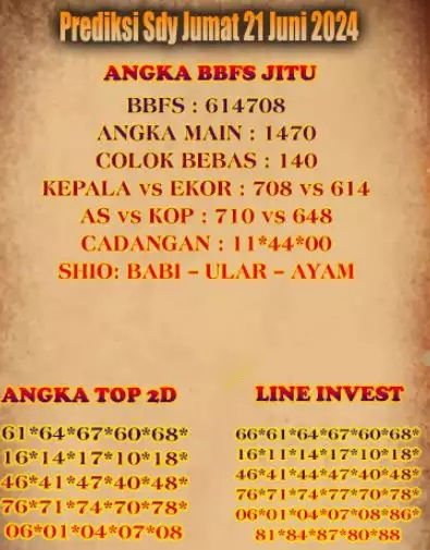 SYAIR SDY VIP